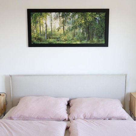 Apartman Na Kamenci Teplice nad Metuji Exterior photo